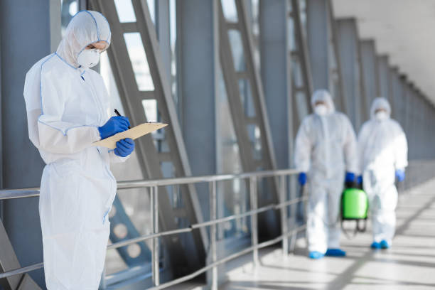 Best Industrial Mold Remediation  in Lapeer, MI