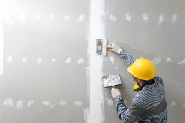 Best Comprehensive Air Testing for Mold Contaminants  in Lapeer, MI