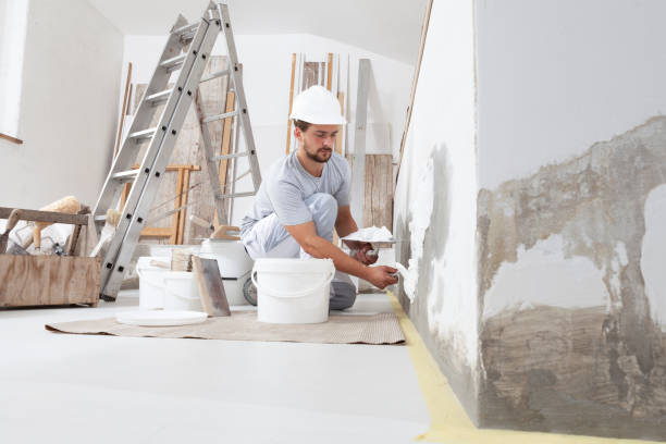 Best Mold Prevention Services  in Lapeer, MI