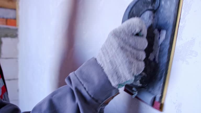 Best Attic Mold Removal  in Lapeer, MI