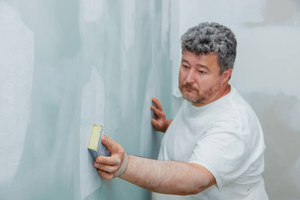 Best Commercial Mold Inspection  in Lapeer, MI