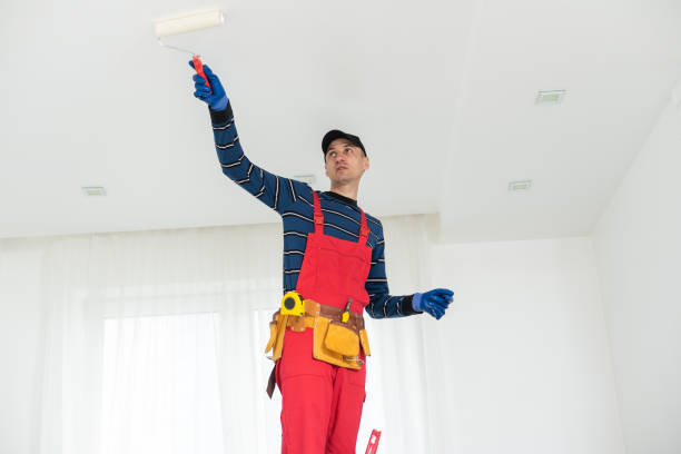 Mold Remediation for Vacation Homes in Lapeer, MI