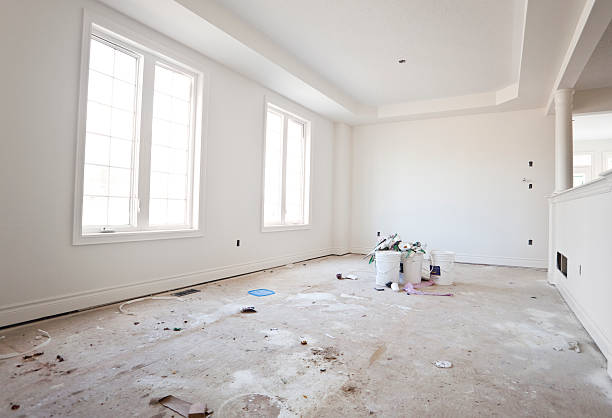 Best Flood Damage  in Lapeer, MI