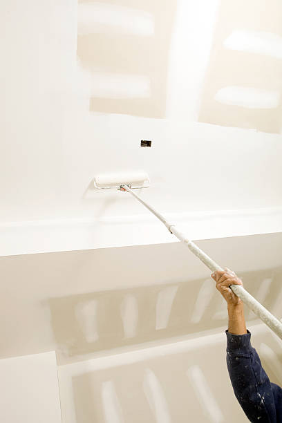 Best Biohazard Mold Removal  in Lapeer, MI