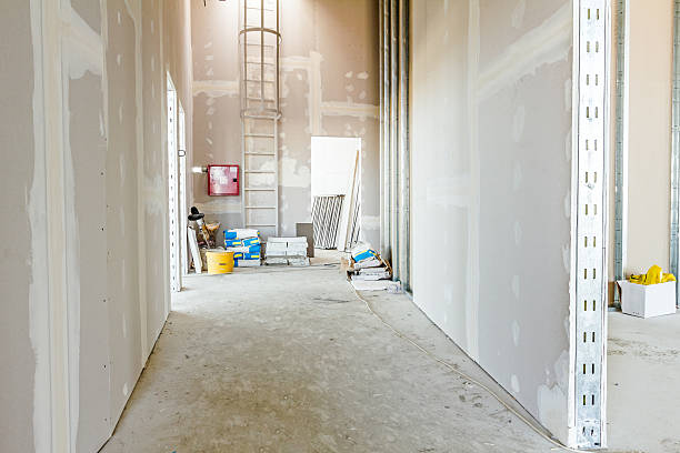 Best Crawl Space Mold Remediation  in Lapeer, MI