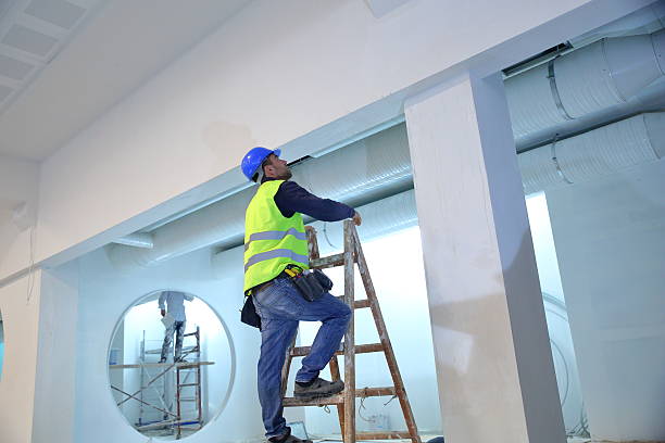 Best Airborne Mold Testing  in Lapeer, MI