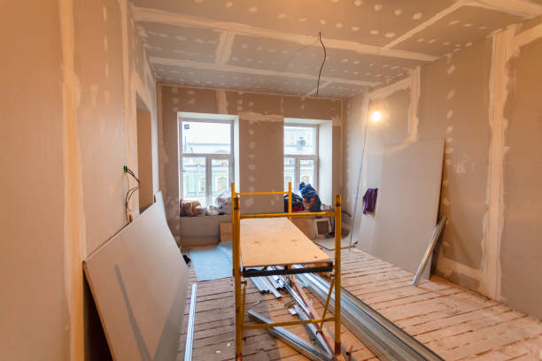 Best Mold Documentation for Insurance Claims  in Lapeer, MI