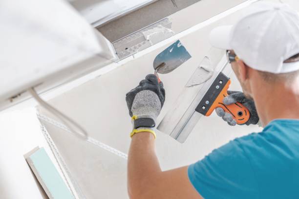 Best Mold-Related Health Consultation  in Lapeer, MI